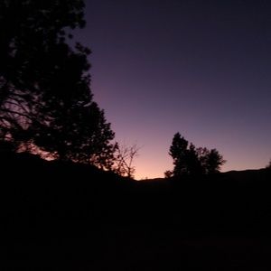 Meet your Posher, Bailey